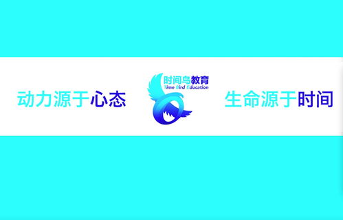 南京時(shí)間鳥教育咨詢 引領(lǐng)未來，成就卓越
